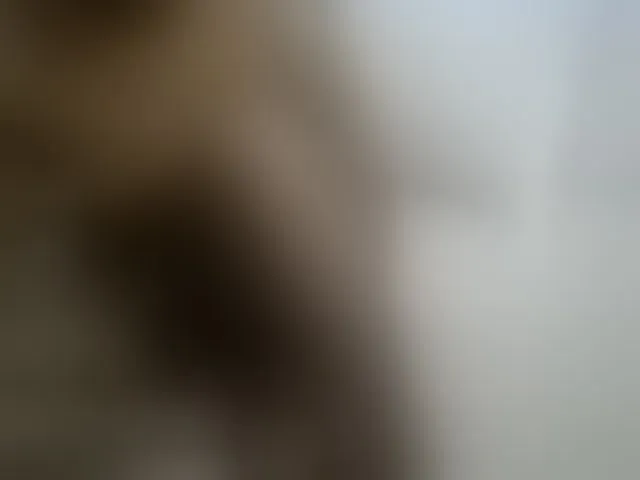 Live sex webcam photo for Tightpussy #293742714