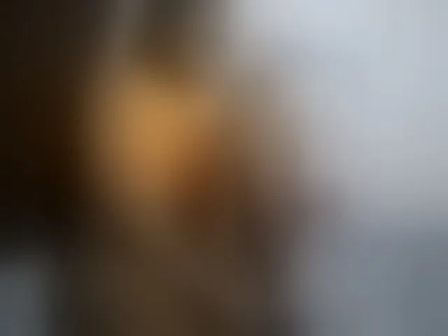 Live sex webcam photo for Tightpussy #293816576