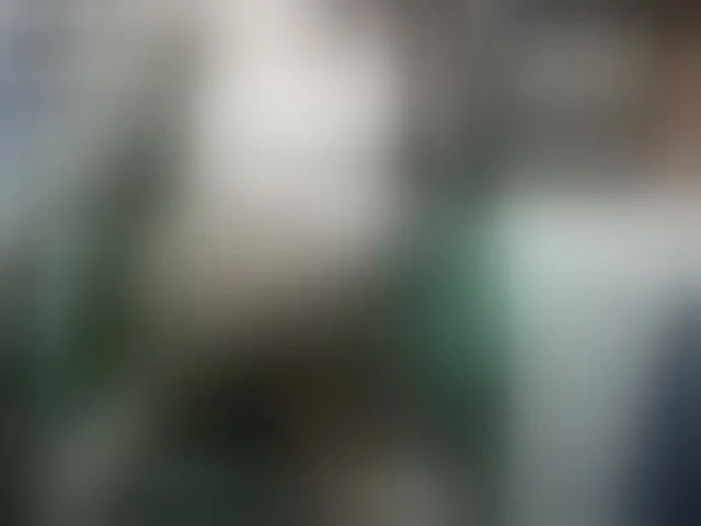 Live sex webcam photo for Tightpussy #293862516
