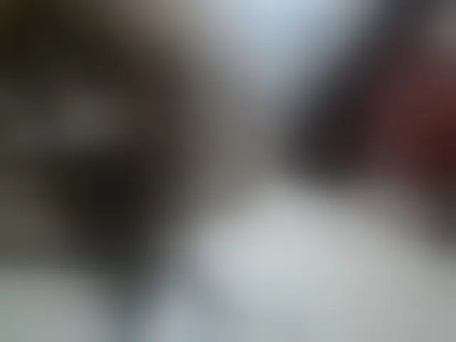 Live sex webcam photo for Tightpussy #293868110