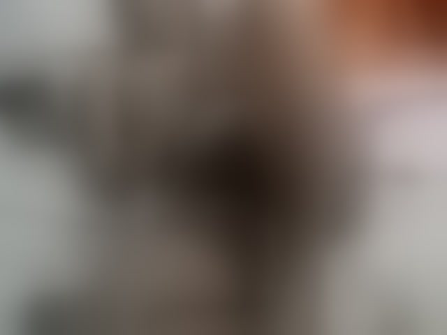 Live sex webcam photo for Tightpussy #294243539