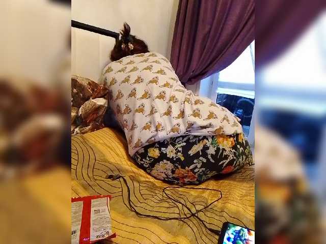 Live sex webcam photo for Tigra82 #277029457