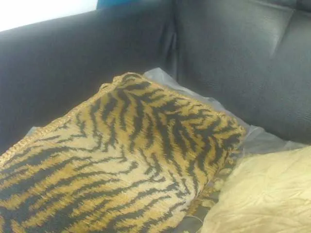 Live sex webcam photo for Tikerbellgirl #271697149