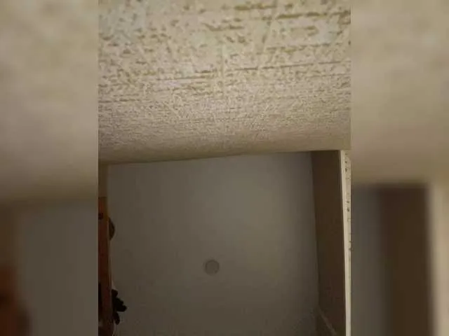 Live sex webcam photo for Tina-Dolly #292183672