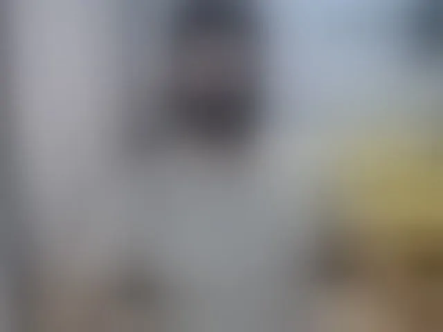 Live sex webcam photo for TomGuys #293554990