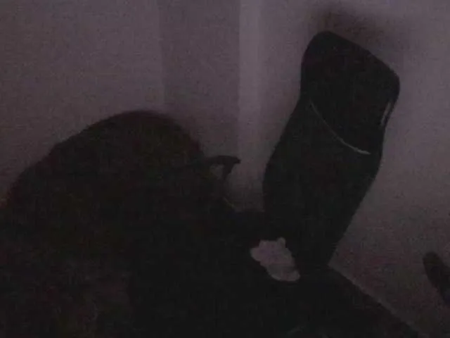 Live sex webcam photo for TonyHoffa #292391475