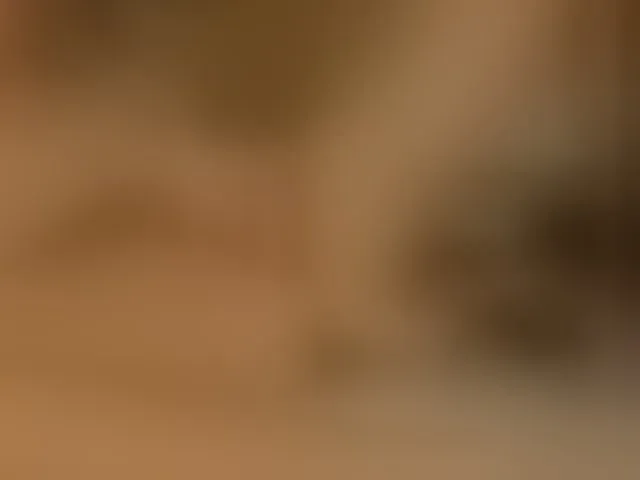 Live sex webcam photo for TonyWiliam #276643100