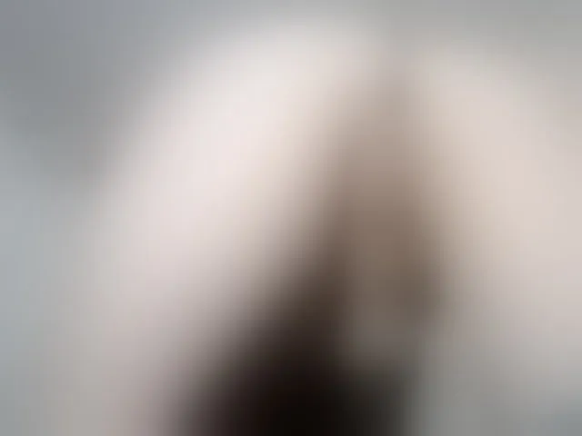 Live sex webcam photo for Totalslave #294229895