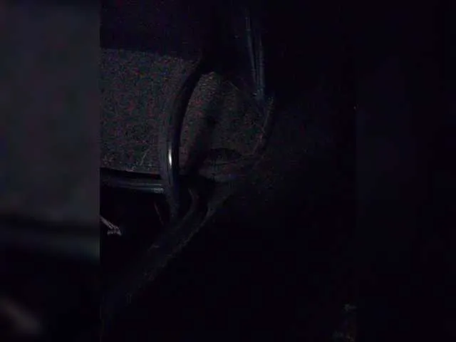 Live sex webcam photo for ToxicLion #276457054