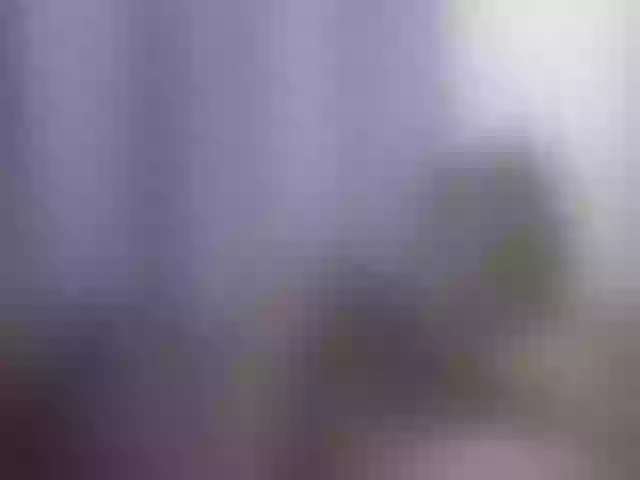 Live sex webcam photo for ToyLovery #290438697