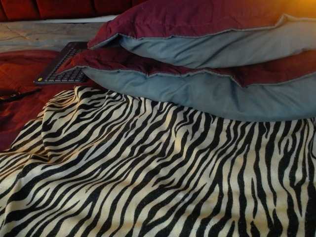 Live sex webcam photo for Tracylambo #276909966