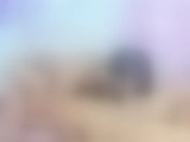 Live sex webcam photo for Trans-dirtyshow #293714132