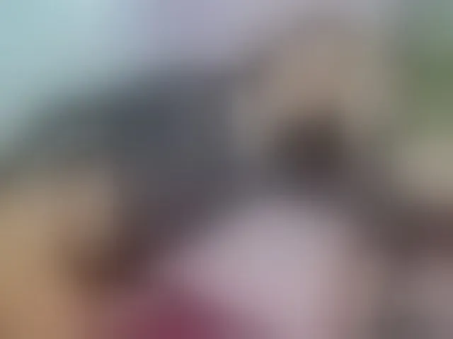 Live sex webcam photo for Trans-dirtyshow #294080256