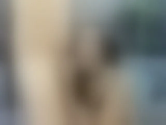Live sex webcam photo for Trans-dirtyshow #294104112