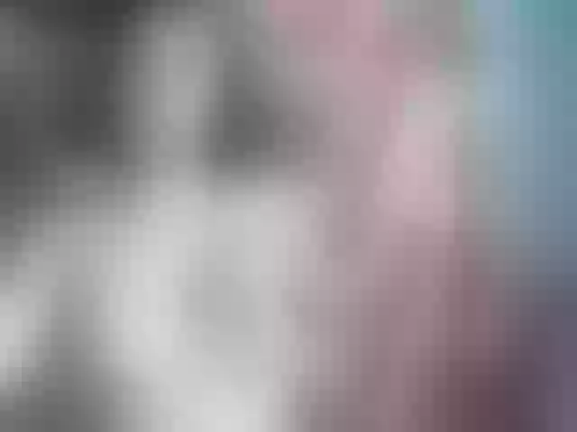 Live sex webcam photo for TriciaBella #290386889