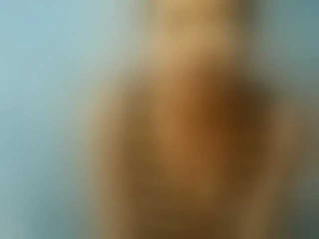 Live sex webcam photo for TriciaBella #292908328