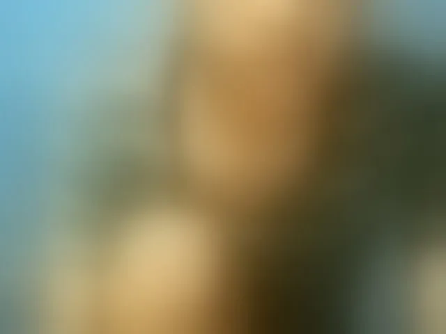 Live sex webcam photo for TriciaBella #292940209
