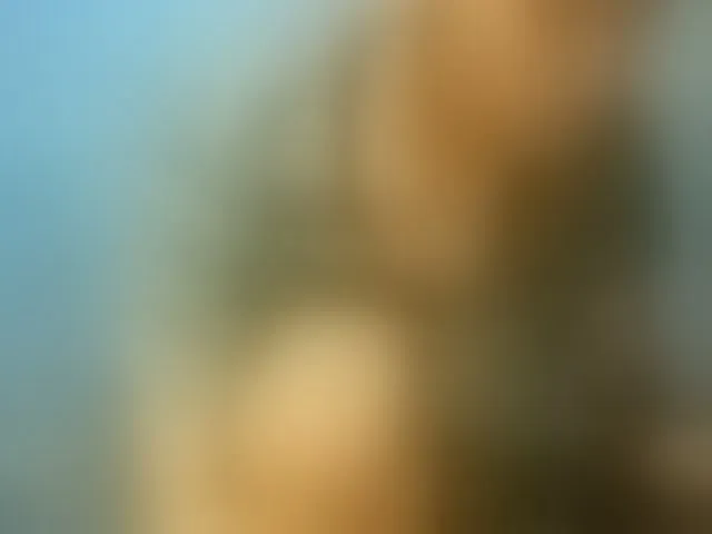 Live sex webcam photo for TriciaBella #292944893