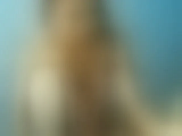 Live sex webcam photo for TriciaBella #293098607