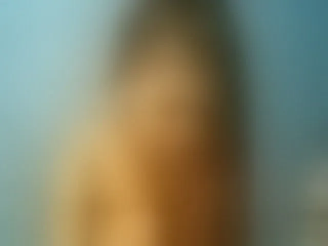 Live sex webcam photo for TriciaBella #293108085