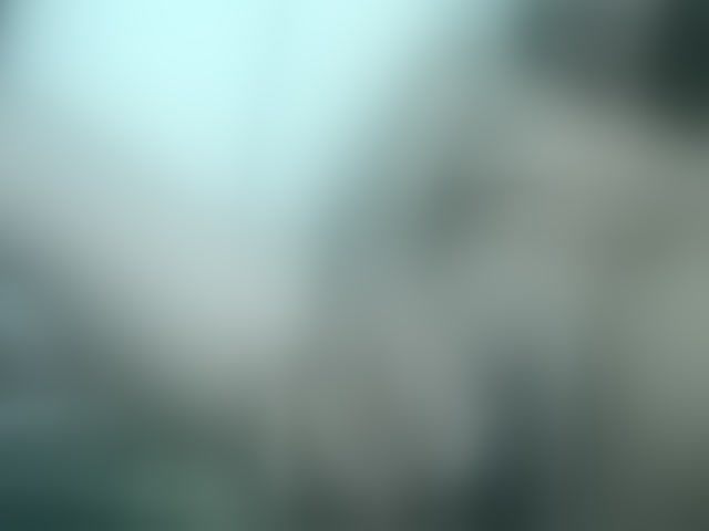 Live sex webcam photo for TriciaBella #293520937