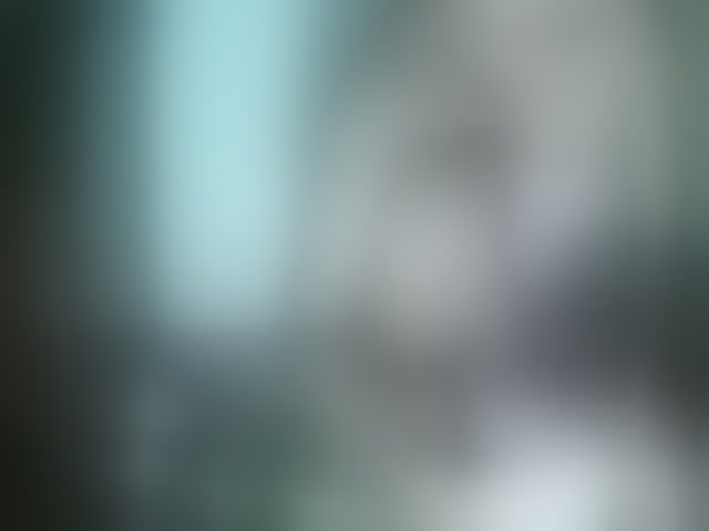 Live sex webcam photo for TriciaBella #293524116