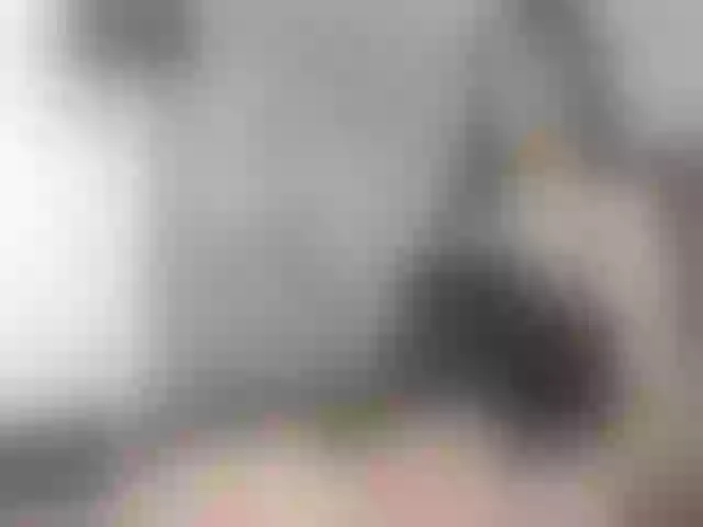 Live sex webcam photo for TrinaHarper #291690201