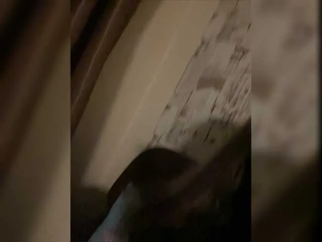 Live sex webcam photo for Trofikkisa #275600225