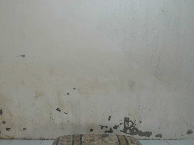 Live sex webcam photo for TsAmanda #292361244