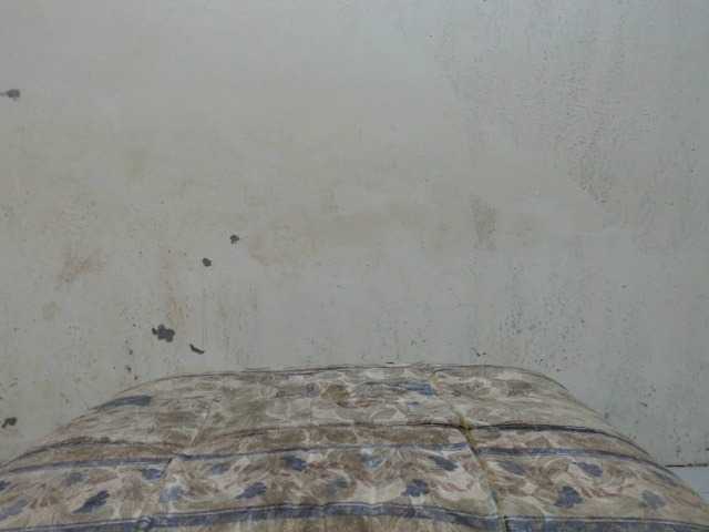 Live sex webcam photo for TsAmanda #292387962