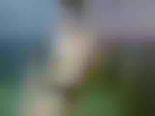 Live sex webcam photo for Twink-Oliver #289255843