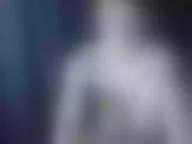 Live sex webcam photo for Twink-Oliver #292197943