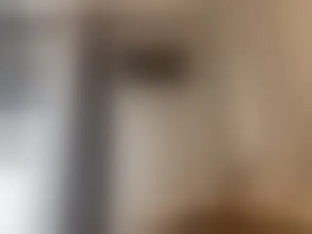 Live sex webcam photo for TyeshaDirksen #294002786