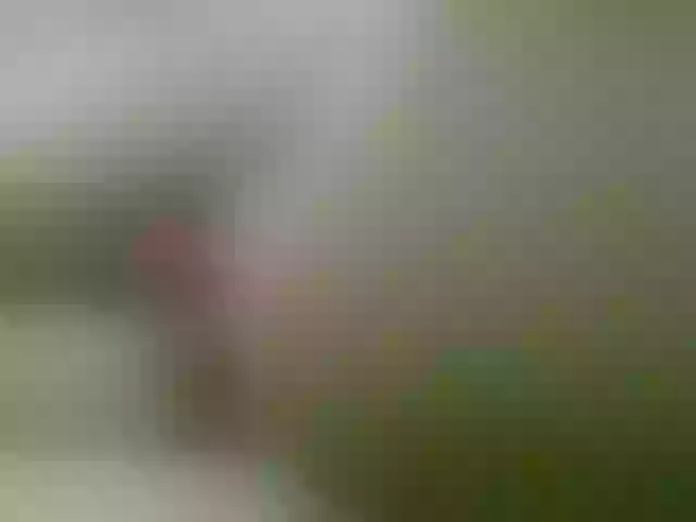 Live sex webcam photo for UJLUJLTY #274484796