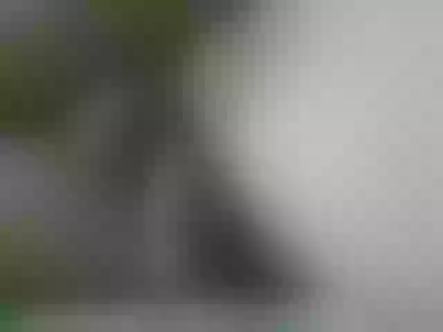 Live sex webcam photo for UJLUJLTY #276398068