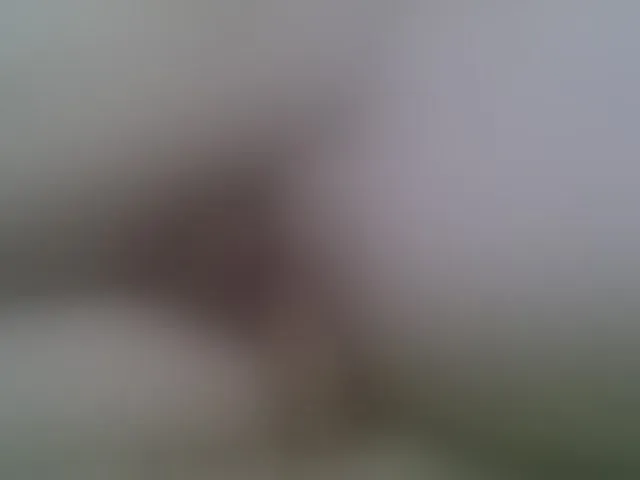 Live sex webcam photo for UJLUJLTY #291739907