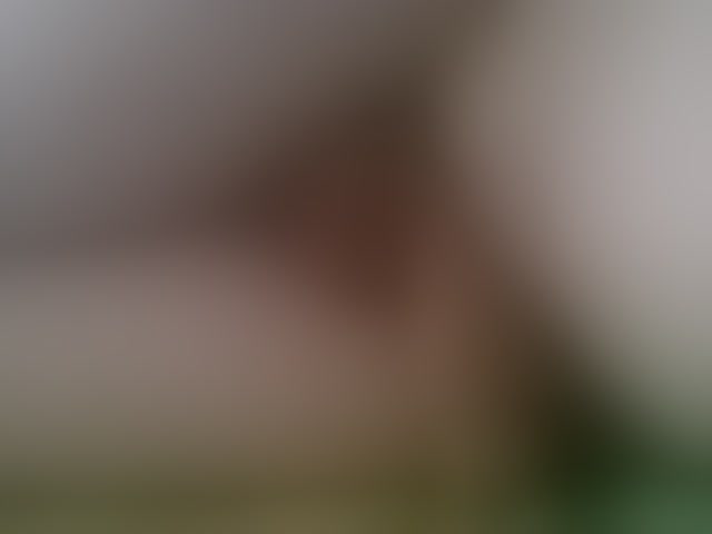 Live sex webcam photo for UJLUJLTY #293636602