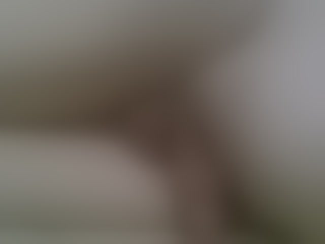 Live sex webcam photo for UJLUJLTY #294162439
