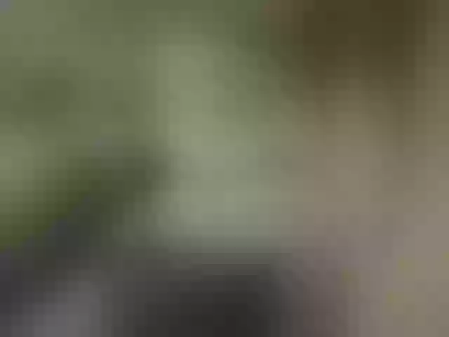 Live sex webcam photo for UZUMAKI2 #290884453