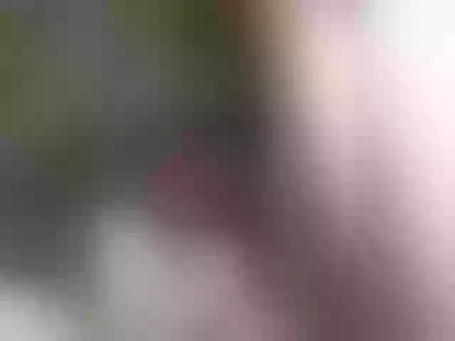 Live sex webcam photo for UZUMAKI2 #291622758