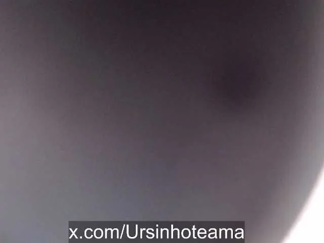 Live sex webcam photo for UrsinhoFofo #278082510