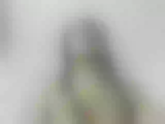 Live sex webcam photo for VALERYY-ROSE #291603985