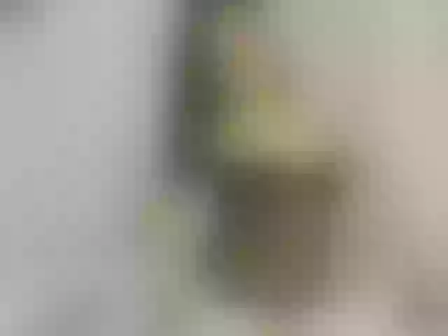 Live sex webcam photo for VALERYY-ROSE #291878969