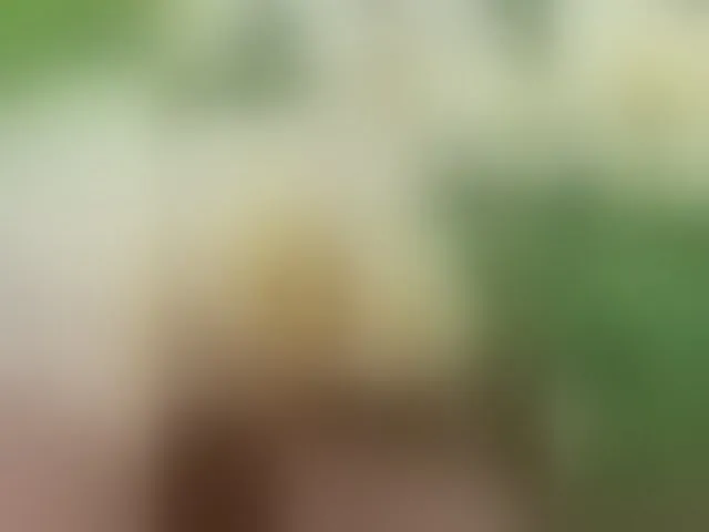 Live sex webcam photo for VARY199999 #292533695