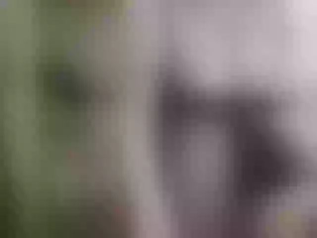 Live sex webcam photo for VILENIKA #292191598