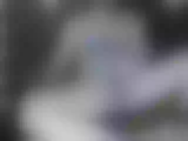 Live sex webcam photo for Valentinoblow #275728816