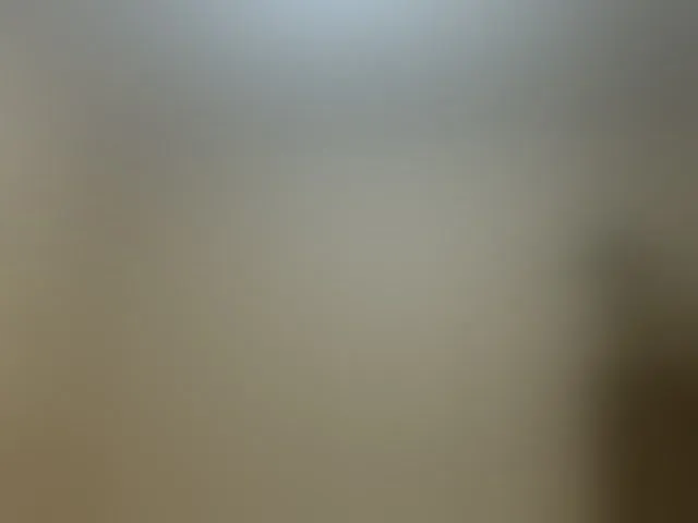 Live sex webcam photo for Valenttijm3851 #293906536