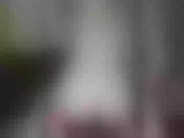 Live sex webcam photo for ValeriaBrown #290664313