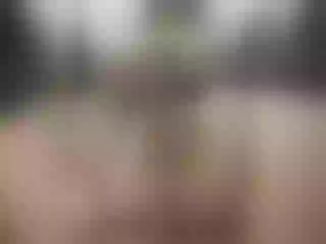 Live sex webcam photo for Valeriesa1 #291346672