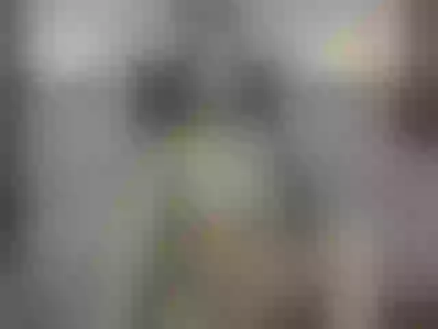 Live sex webcam photo for Valery-spence #274310885
